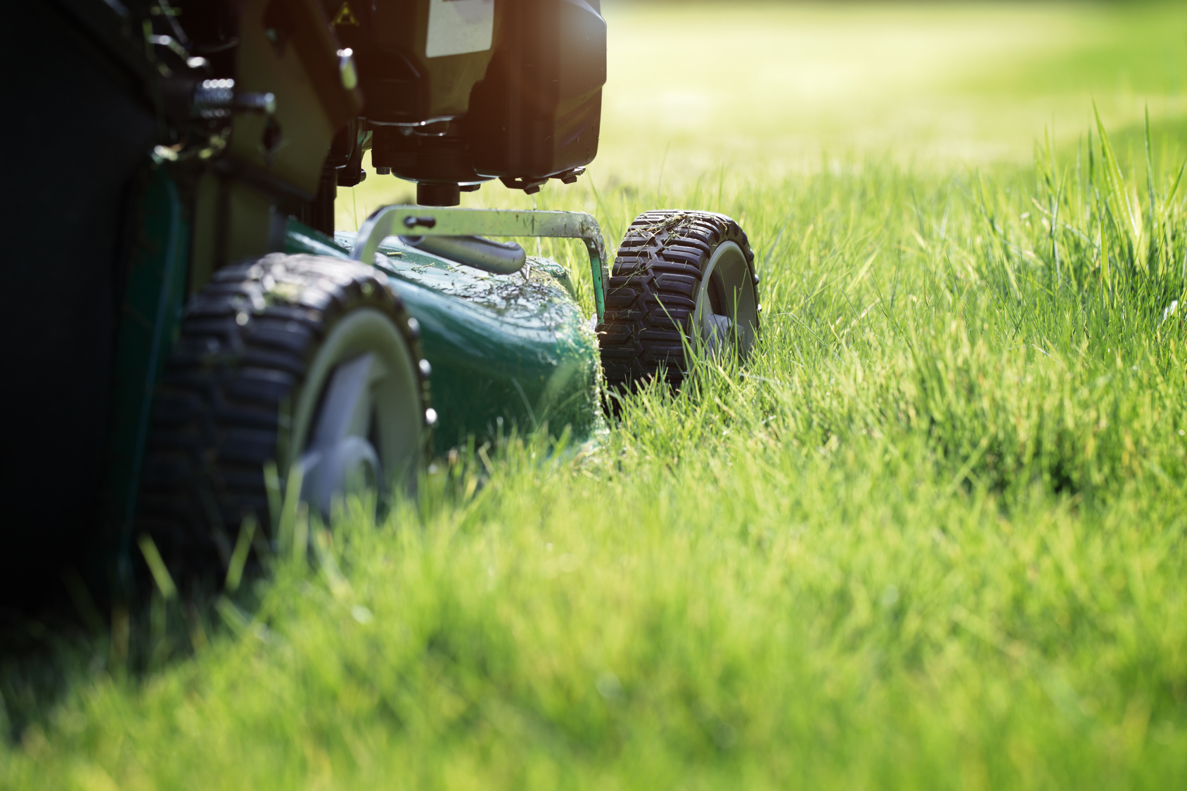 Mowing the grass